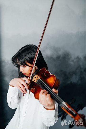 Скрипачка, музыкант на праздник