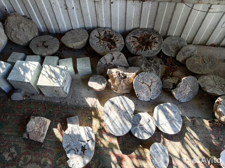 Минералы. Окаменелости. Септарии. Жеоды. Пирит