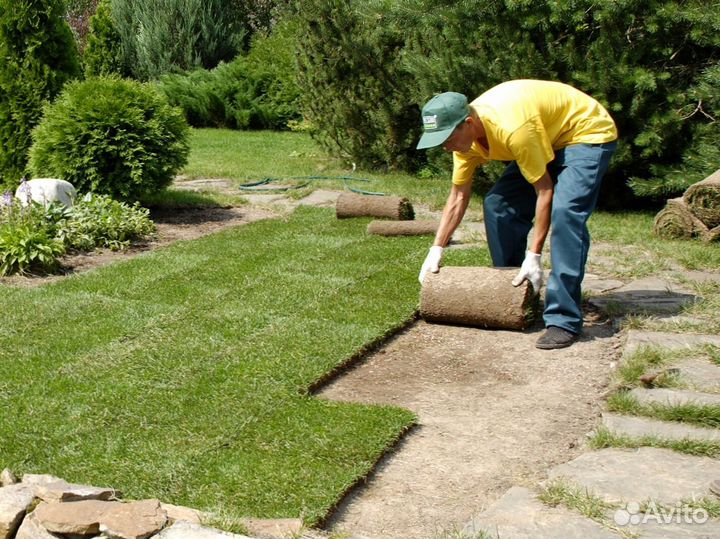 Рулонный газон / газон под ключ