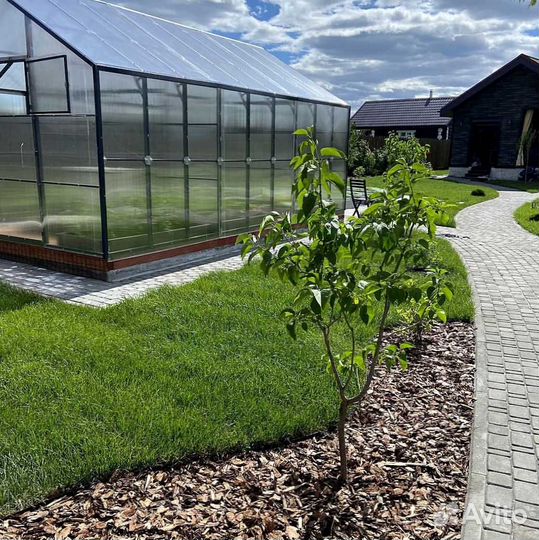 Рулонный газон