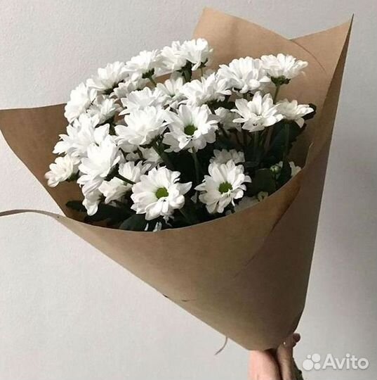 Хризантема Доставка цветов Букеты