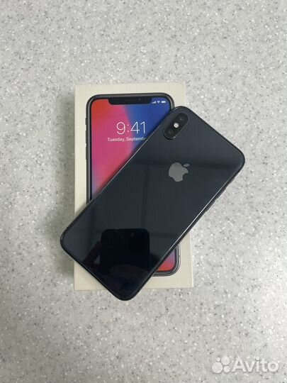 iPhone X, 256 ГБ