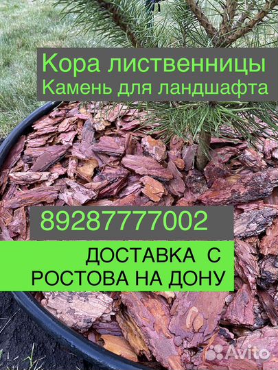 Мульча кора лиственницы