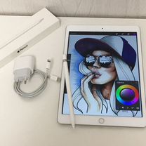 iPad 7 поколения Procreat+pencil