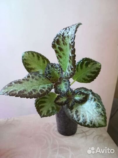 Цветы разные