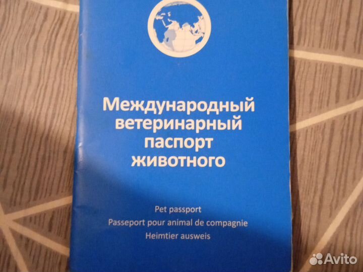Отдам в добрые руки