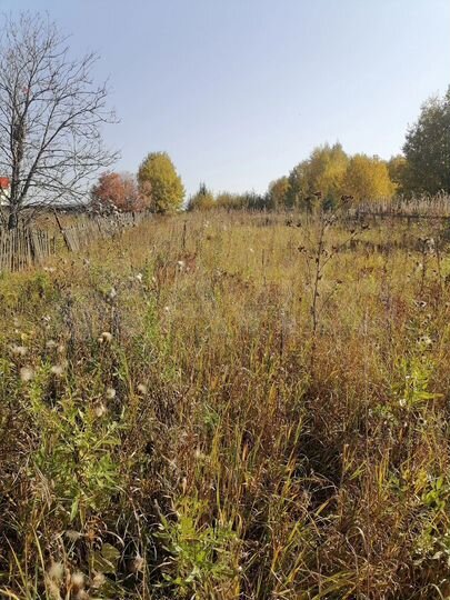 Участок 16 сот. (ИЖС)
