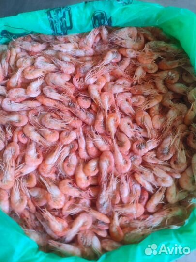 Креветка азовская сухой заморозки