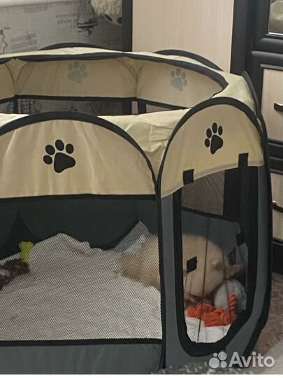 Вольер манеж для собак и кошек