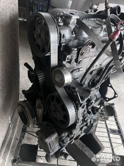 Двигатель Fiat ducato 2.8