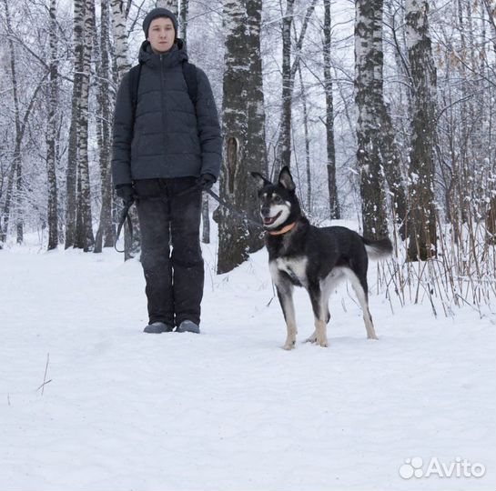 Стоит у решетки в надежде