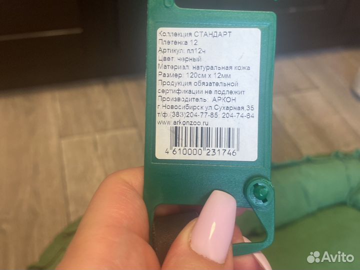 Принадлежности для собаки