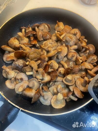 Грибы подберезовики, маслята, подосиновики