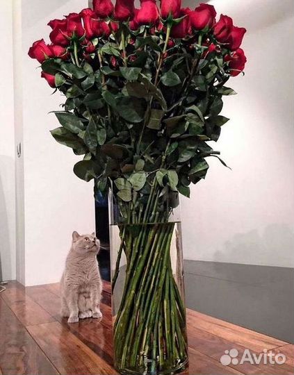 Розы высокие Доставка цветов