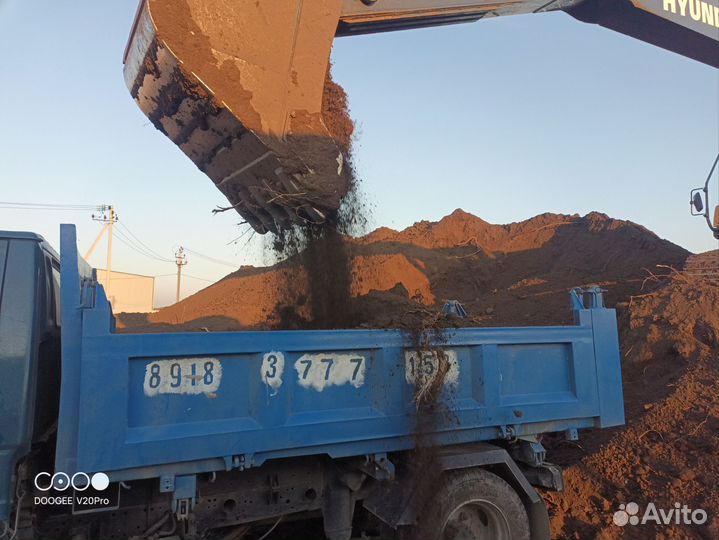 Земля чернозем