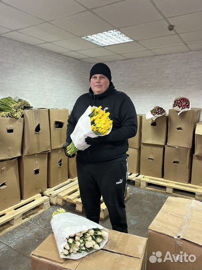 Тюльпаны