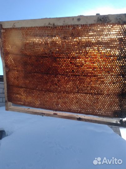 Рамки с сушью