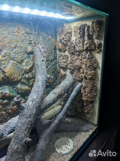 Вертикальный террариум