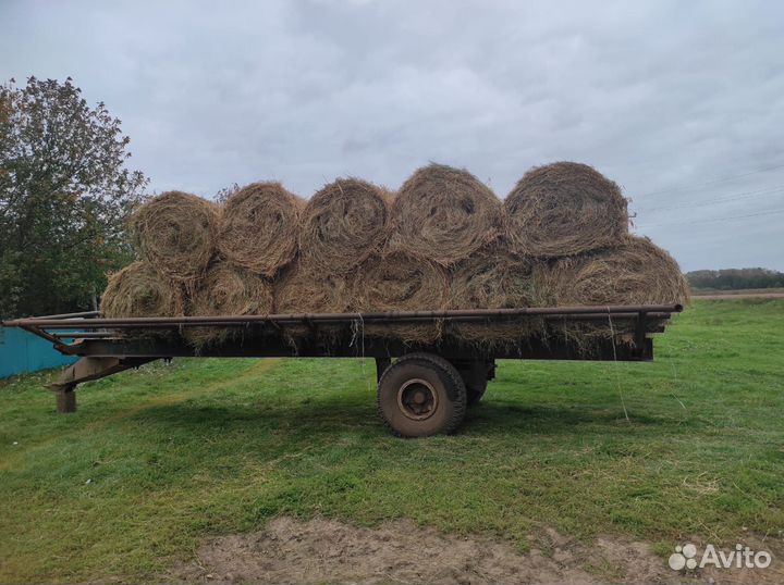 Сено люцерны в рулонах