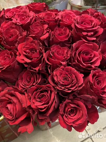 Букет 101 роза