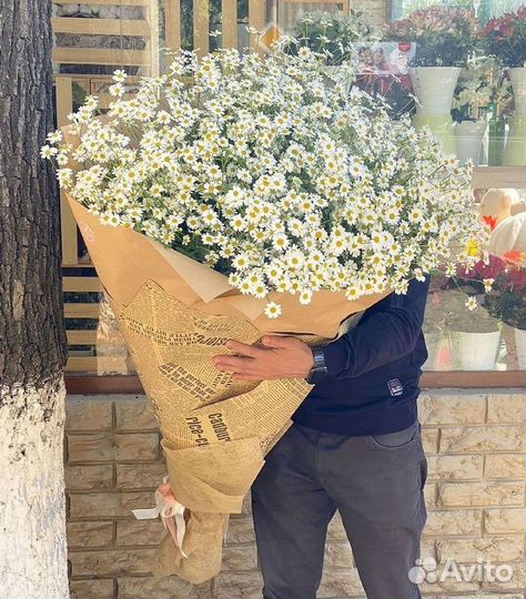 Букеты ромашек