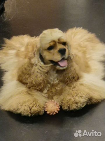 Открыт для вязок