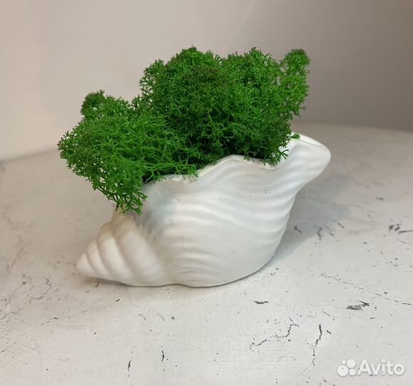 Кашпо Ракушка из гипса