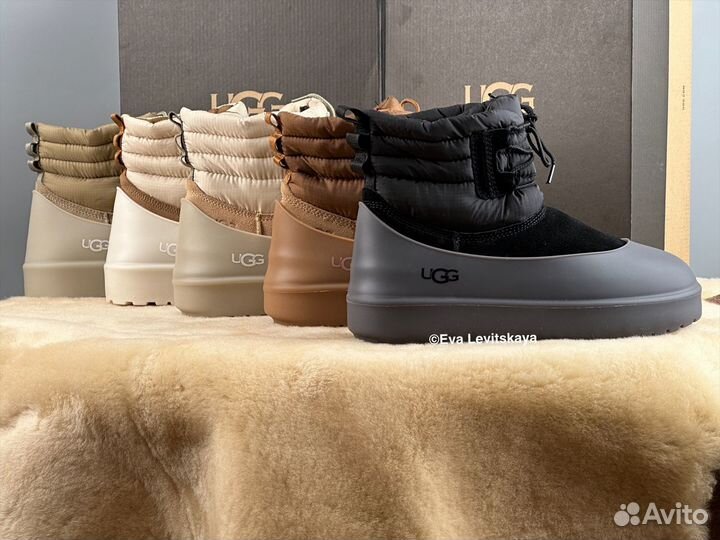 Угги женские Ugg Classic Mini Lace-Up Weather