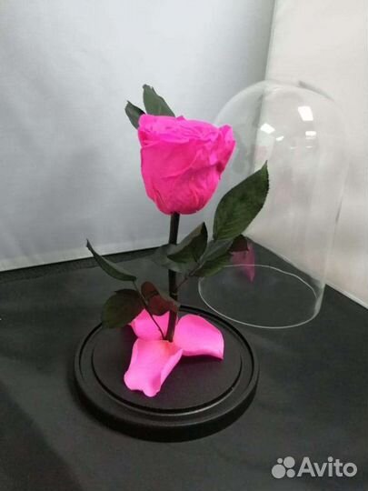 Роза в колбе оптом