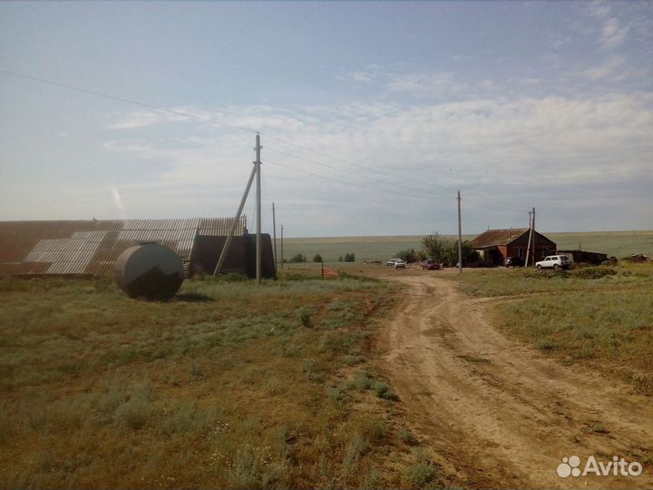 Тракторист (на ферму)