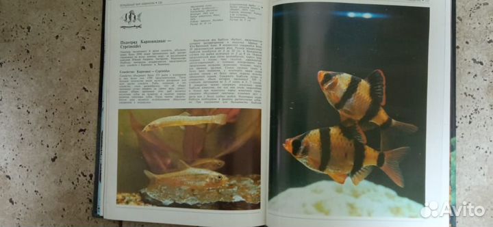 Книги для аквариума