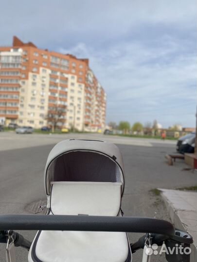 Коляска adamex reggio 3 в1