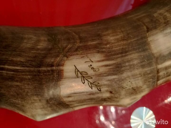 Рог кавказского тура