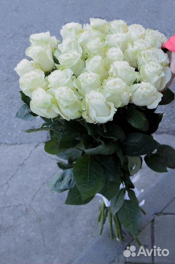 Роза, букет из 29 белой Голландской розы