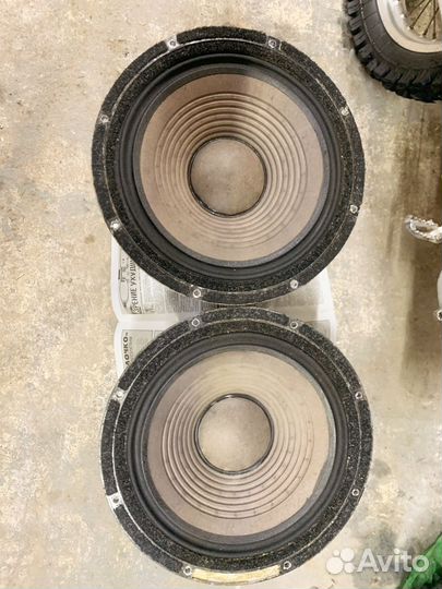 Динамики 75гдн3-1