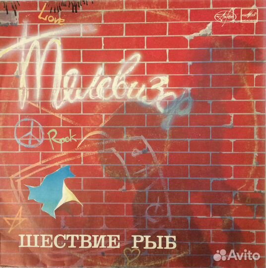 Группа Телевизор