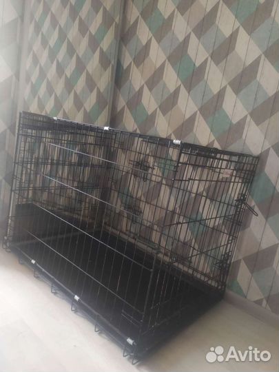 Вольер (клетка для собаки)