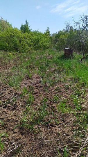 Участок 13 сот. (ИЖС)