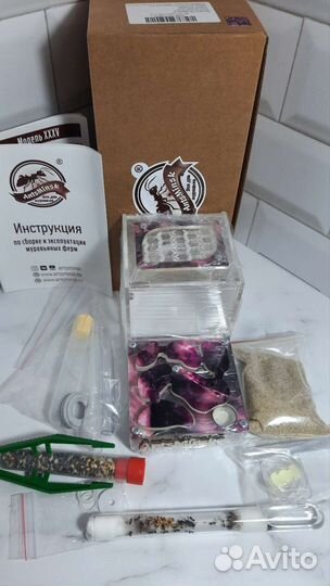 Муравьиная ферма формикарий AntMinsk