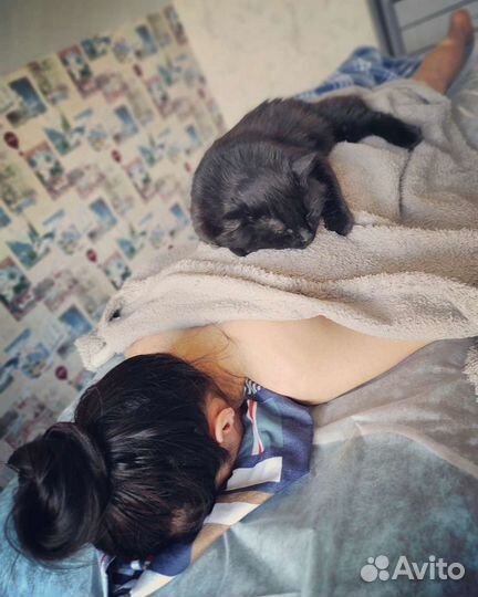 Авторский массаж оздоровительный