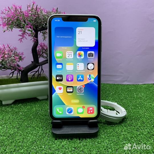 iPhone Xr, 128 ГБ