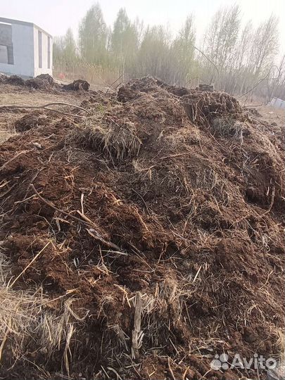 Торф верховой