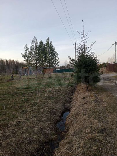 Участок 11,3 сот. (СНТ, ДНП)