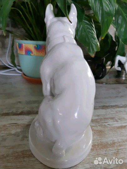 Фарфоровые статуэтки собак. Германия, СССР