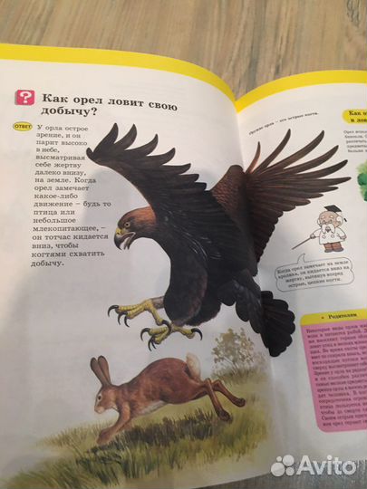 Детская энциклопедия Мир вокруг нас