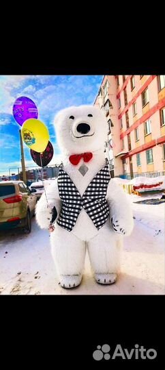 Аниматоры на день рождения мишка