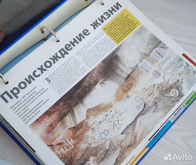 Энциклопедия Древо познания