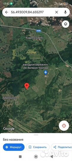 Шишка кедровая, орех