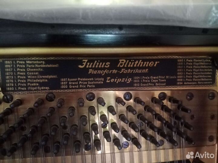 Пманино Блютнер