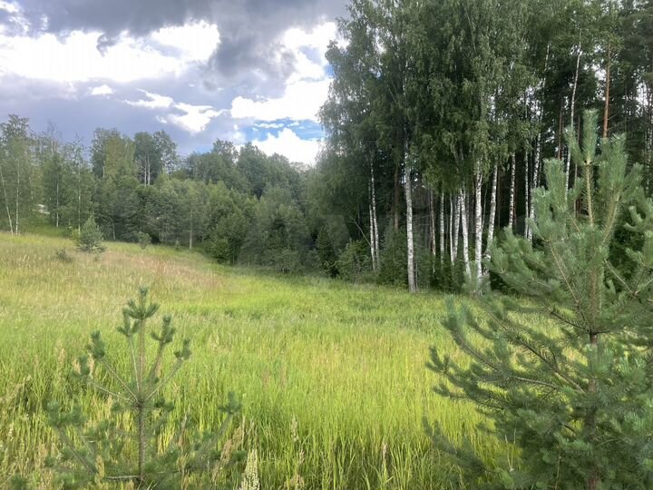 Участок 15 сот. (ИЖС)